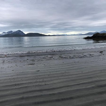 Lofoten Gate Hostel Лёдинген Экстерьер фото