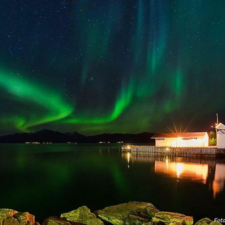 Lofoten Gate Hostel Лёдинген Экстерьер фото